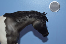 Load image into Gallery viewer, Shasta Moon-Indian Pony Mold-Breyer Traditional