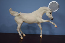 Load image into Gallery viewer, Sahran-Ashquar Mold-Breyer Traditional