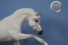 Load image into Gallery viewer, Sahran-Ashquar Mold-Breyer Traditional