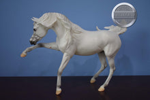 Load image into Gallery viewer, Sahran-Ashquar Mold-Breyer Traditional