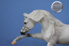 Load image into Gallery viewer, Sahran-Ashquar Mold-Breyer Traditional