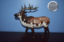 Load image into Gallery viewer, Inari-Breyerfest Exclusive-Elk Mold-Breyer Traditional