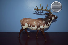 Load image into Gallery viewer, Inari-Breyerfest Exclusive-Elk Mold-Breyer Traditional