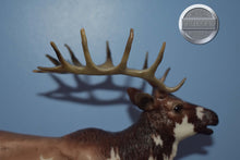 Load image into Gallery viewer, Inari-Breyerfest Exclusive-Elk Mold-Breyer Traditional
