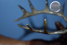 Load image into Gallery viewer, Inari-Breyerfest Exclusive-Elk Mold-Breyer Traditional
