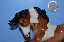 Load image into Gallery viewer, Glossy Prize Gypsy Vanner-HTF-Gypsy Vanner Mold-Breyer Traditional
