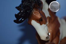 Load image into Gallery viewer, Glossy Prize Gypsy Vanner-HTF-Gypsy Vanner Mold-Breyer Traditional