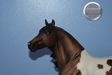 Load image into Gallery viewer, Gideon-Smart Chic Olena Mold-Breyer Traditional