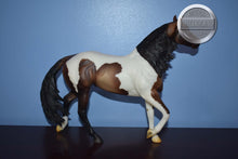 Load image into Gallery viewer, Gideon-Smart Chic Olena Mold-Breyer Traditional