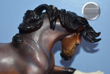 Load image into Gallery viewer, Sagamore Rye-HTF-Gypsy Vanner Mold-Breyer Traditional