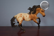 Load image into Gallery viewer, Toro-Nokota Mold-Breyer Traditional