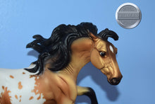 Load image into Gallery viewer, Toro-Nokota Mold-Breyer Traditional