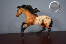 Load image into Gallery viewer, Toro-Nokota Mold-Breyer Traditional