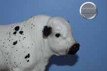 Load image into Gallery viewer, Bowland-Breyerfest Exclusive-Charolais Mold-Breyer Traditional