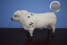 Load image into Gallery viewer, Bowland-Breyerfest Exclusive-Charolais Mold-Breyer Traditional