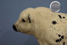 Load image into Gallery viewer, Bowland-Breyerfest Exclusive-Charolais Mold-Breyer Traditional