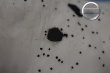 Load image into Gallery viewer, Bowland-Breyerfest Exclusive-Charolais Mold-Breyer Traditional