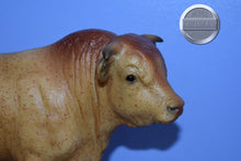 Load image into Gallery viewer, Reuben-Collector Club Web Special-Charolais Mold-Breyer Traditional