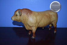 Load image into Gallery viewer, Reuben-Collector Club Web Special-Charolais Mold-Breyer Traditional