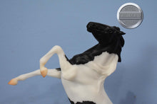 Load image into Gallery viewer, Black and White Mustang-American Dream Mold-Breyer Classic