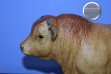 Load image into Gallery viewer, Reuben-Collector Club Web Special-Charolais Mold-Breyer Traditional