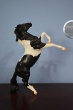 Load image into Gallery viewer, Black and White Mustang-American Dream Mold-Breyer Classic