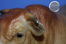 Load image into Gallery viewer, Reuben-Collector Club Web Special-Charolais Mold-Breyer Traditional