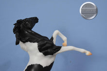 Load image into Gallery viewer, Black and White Mustang-American Dream Mold-Breyer Classic