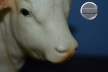 Load image into Gallery viewer, Charolais Bull-Charolais Mold-Breyer Traditional