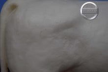 Load image into Gallery viewer, Charolais Bull-Charolais Mold-Breyer Traditional