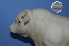 Load image into Gallery viewer, Charolais Bull-Charolais Mold-Breyer Traditional