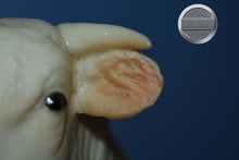 Load image into Gallery viewer, Charolais Bull-Charolais Mold-Breyer Traditional