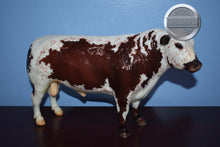 Load image into Gallery viewer, Hamish-Breyerfest Exclusive-Black Angus Bull Mold-Breyer Traditional