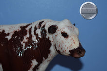 Load image into Gallery viewer, Hamish-Breyerfest Exclusive-Black Angus Bull Mold-Breyer Traditional