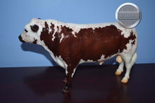 Load image into Gallery viewer, Hamish-Breyerfest Exclusive-Black Angus Bull Mold-Breyer Traditional