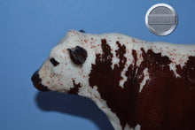 Load image into Gallery viewer, Hamish-Breyerfest Exclusive-Black Angus Bull Mold-Breyer Traditional