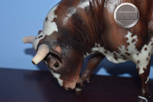 Load image into Gallery viewer, The Widow Maker-Connoisseur Series-Spanish Fighting Mold-Breyer Traditional