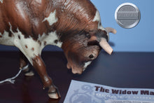 Load image into Gallery viewer, The Widow Maker-Connoisseur Series-Spanish Fighting Mold-Breyer Traditional