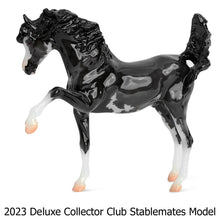 Load image into Gallery viewer, Fandango-New in Package-Twist Mold-Breyer Stablemate