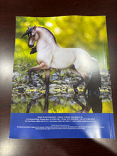 Load image into Gallery viewer, 2026 Breyer Dealer Catalog