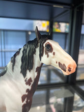Load image into Gallery viewer, Midnattssol-FLAWED-Breyerfest 2026 Special Run-Murgese Stallion Mold-Breyer Traditional