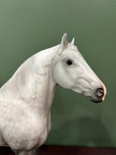 Load image into Gallery viewer, Pining for the Fjords-Breyerfest 2026 Raffle Model-26 Made-Clydesdale Mare Mold-Breyer Traditional