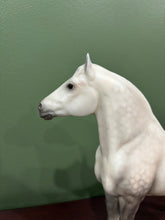 Load image into Gallery viewer, Pining for the Fjords-Breyerfest 2026 Raffle Model-26 Made-Clydesdale Mare Mold-Breyer Traditional