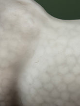Load image into Gallery viewer, Pining for the Fjords-Breyerfest 2026 Raffle Model-26 Made-Clydesdale Mare Mold-Breyer Traditional