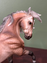 Load image into Gallery viewer, Faded Love-Esprit Mold-Special Event Exclusive-Breyer Traditional