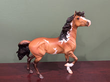 Load image into Gallery viewer, Oriole-Birds of a Feather Series-Mustang Mare Mold-Breyer Traditional