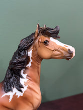 Load image into Gallery viewer, Oriole-Birds of a Feather Series-Mustang Mare Mold-Breyer Traditional