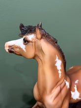 Load image into Gallery viewer, Oriole-Birds of a Feather Series-Mustang Mare Mold-Breyer Traditional
