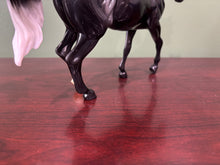 Load image into Gallery viewer, Onyx-Best of Show Arabian Mold-Breyer Classic