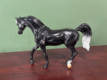 Load image into Gallery viewer, Onyx-Best of Show Arabian Mold-Breyer Classic
